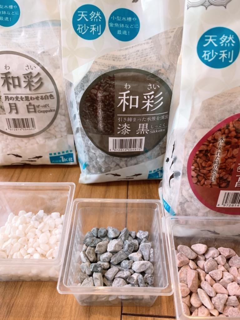 コトブキ工芸 和彩 月白 １ｋｇ 金魚 メダカ 砂利 :290677:チャーム charm ヤフー店 - 通販 - Yahoo!ショッピング