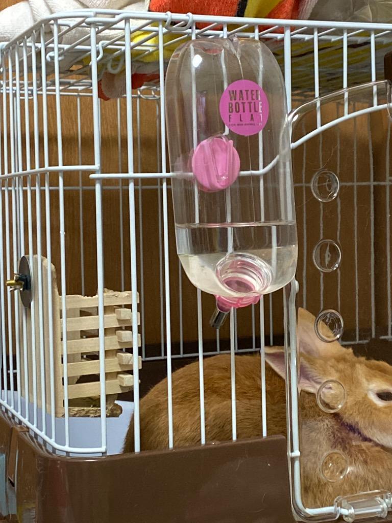 マルカン うさぎ ケージ 楽天市場】マルカン CASA セレクトケージRabbit 80 （T1）小動物