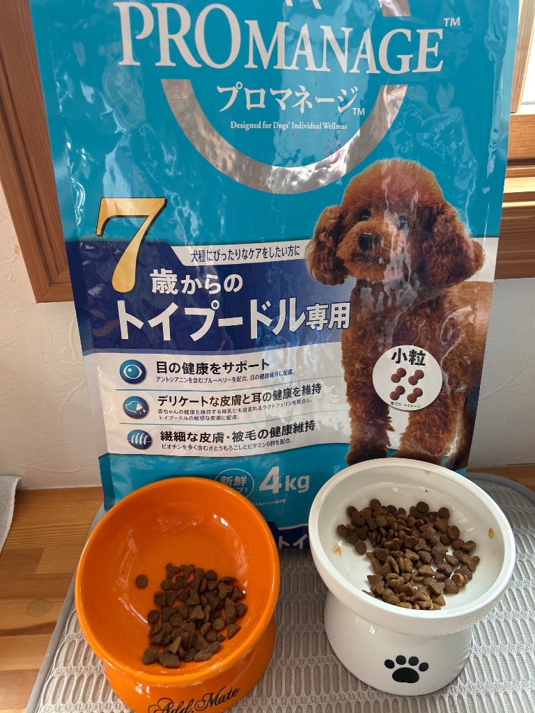 楽天市場】ドッグフード プロマネージ 成犬用 トイプードル専用