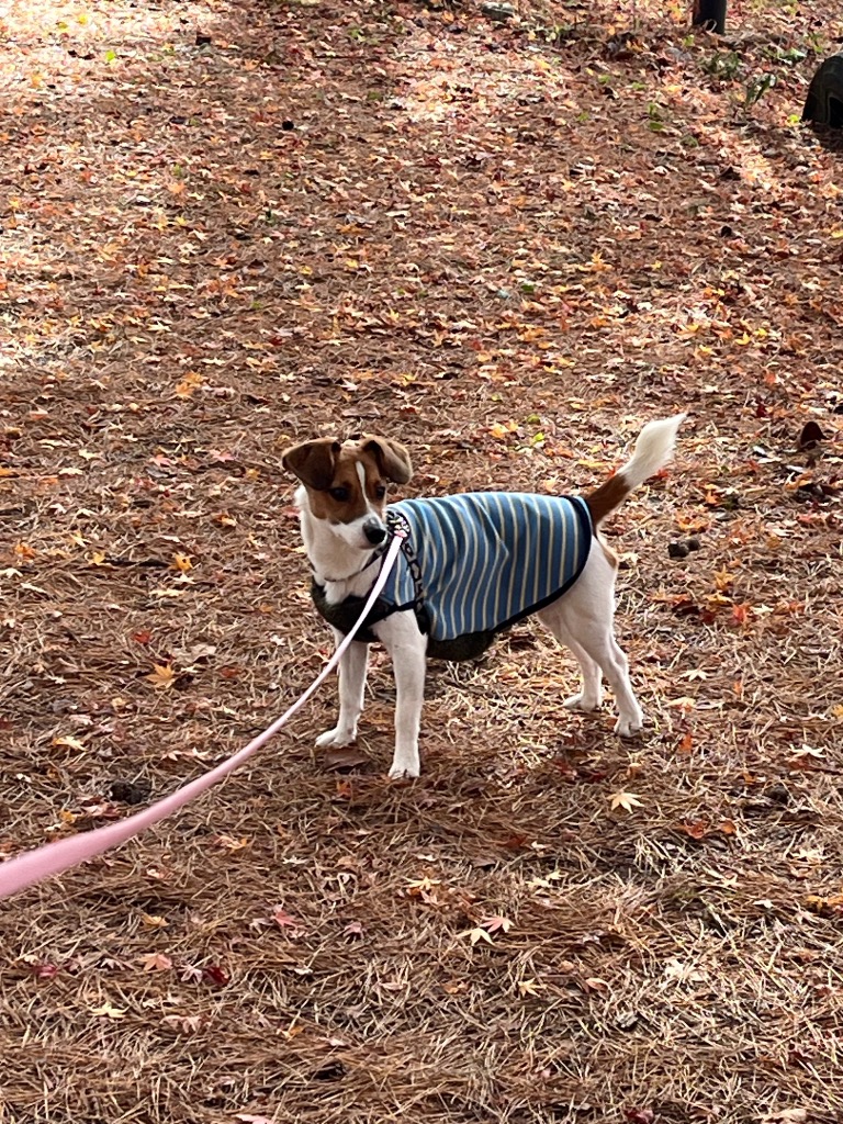 全体のレビュー画像 | 12-0