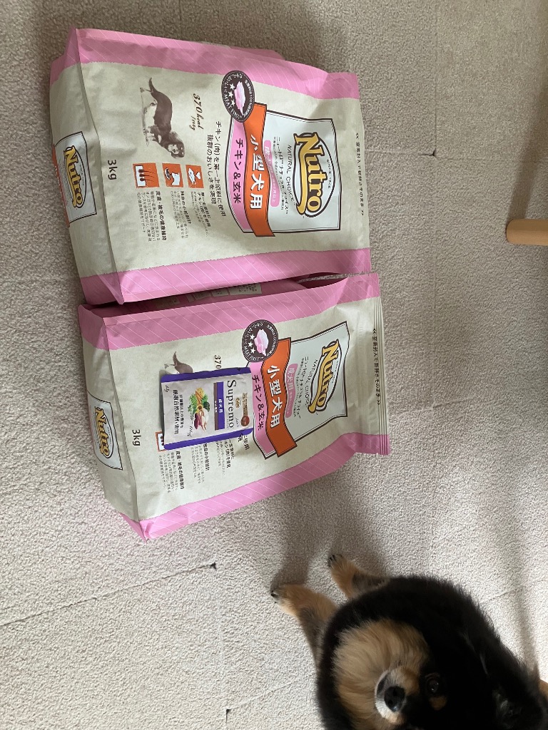 ニュートロナチュラルチョイス 3kg 2袋セット Amazon.co.jp: 【関節ケアサプリセット】ニュートロ ナチュラル