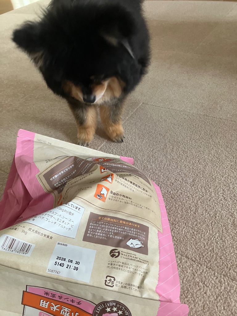 全体のレビュー画像 | 10-0