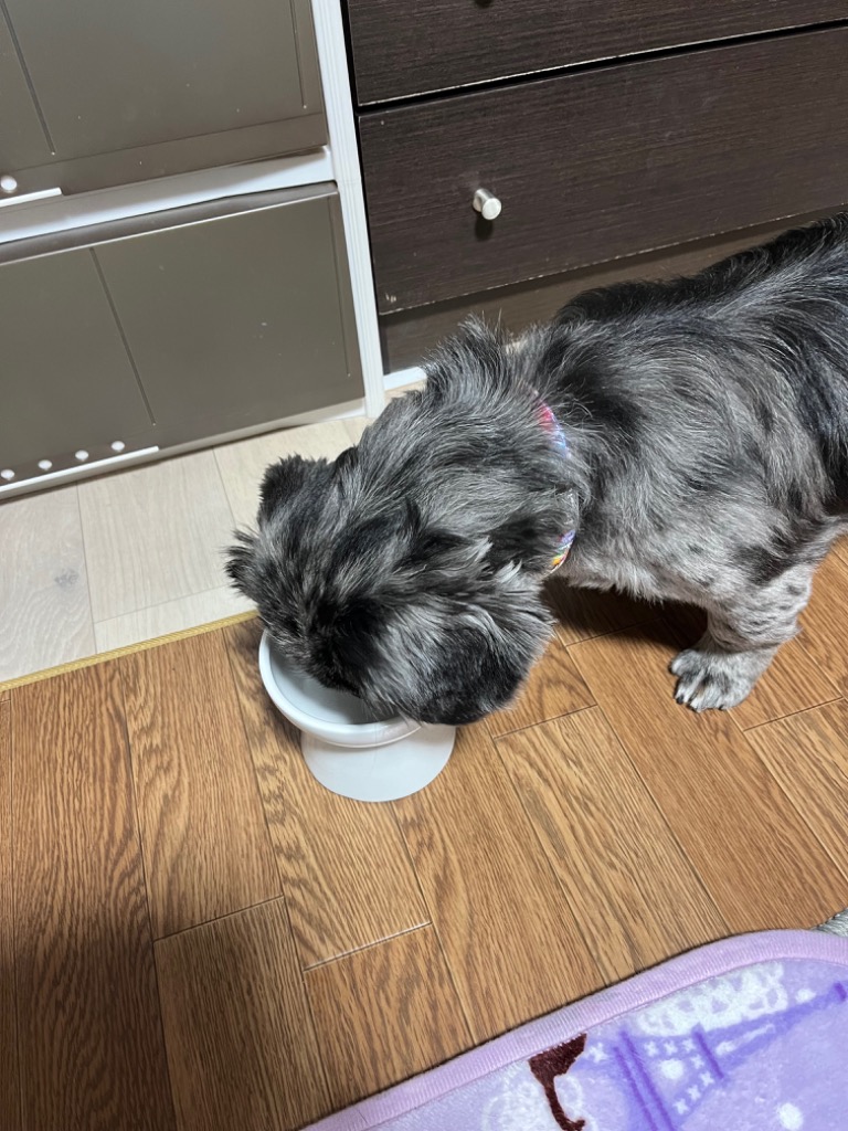 全体のレビュー画像 | 9-1