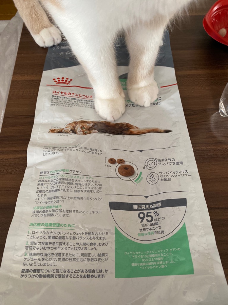ロイヤルカナン ロイヤルカナン 猫 ダイジェスティブ ケア 健康 ロイヤルカナン ロイヤルカナン 猫 ダイジェスティブ ケア 健康