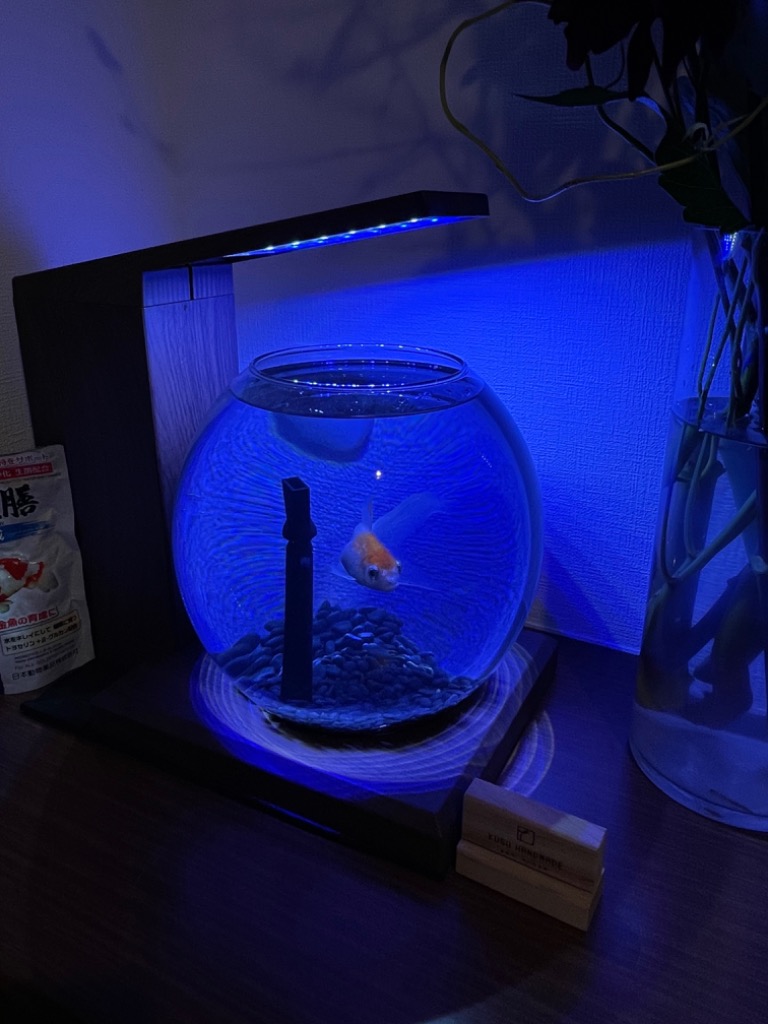 GEX GEX 水槽セット グラスアクア PERCO B−Dark