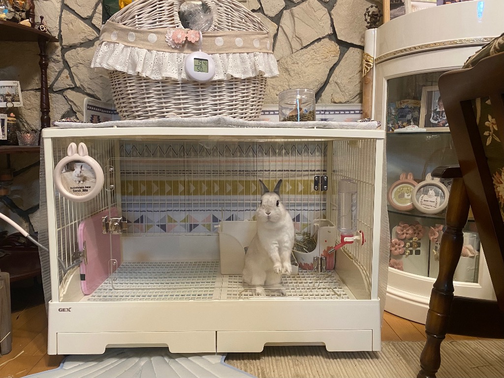 GEX（ジェックス） クリアフロント80 飼育ケージ ケージ ゲージ