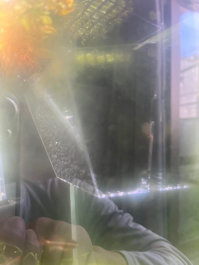 全体のレビュー画像 | 1-0