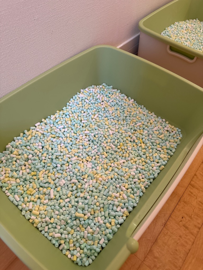 レビュー画像