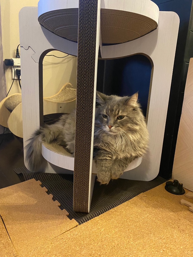 キャットタワー 猫壱 バリバリボウルタワー レギュラー クリアホワイト