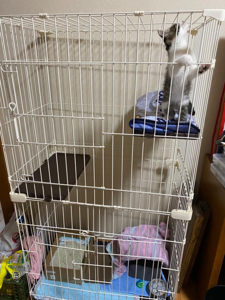 マルカン キャットフレンドルーム スリム2段 : チャーム charm ヤフー