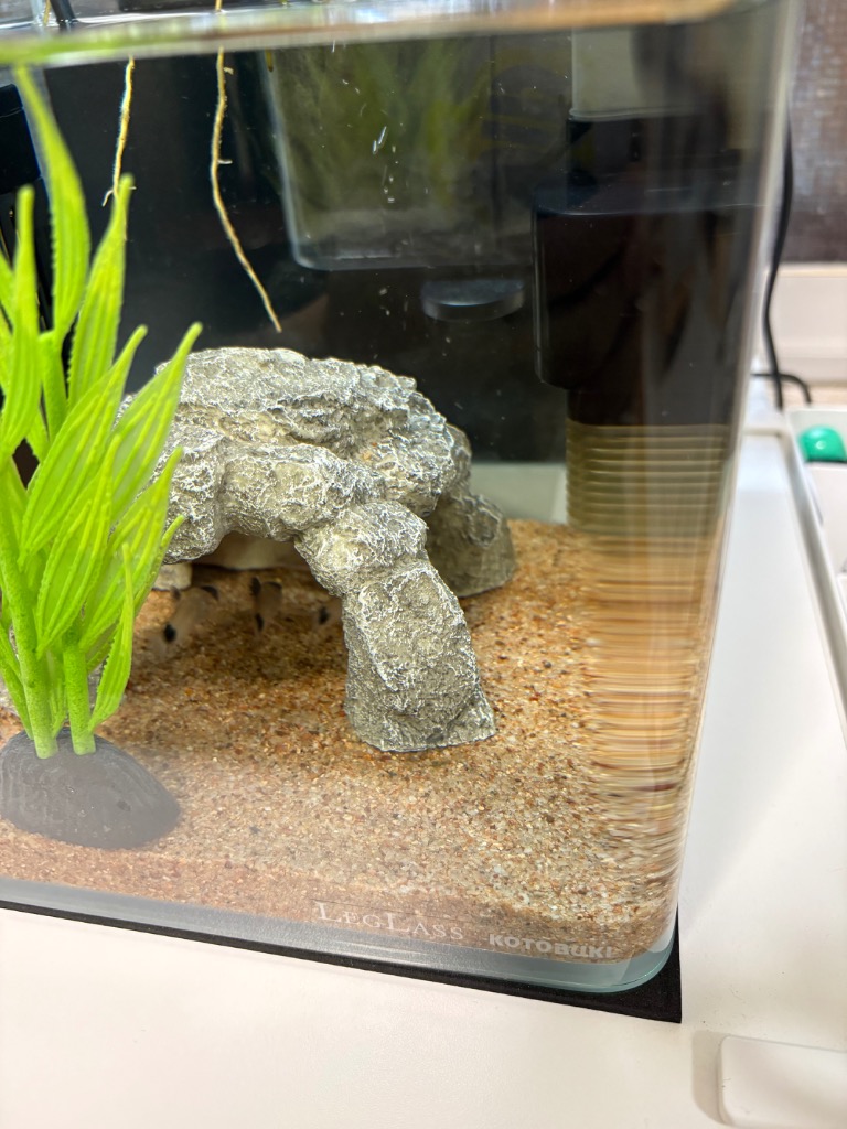 LEGLASS コトブキ工芸 水槽セット レグラス R−200 フィルター