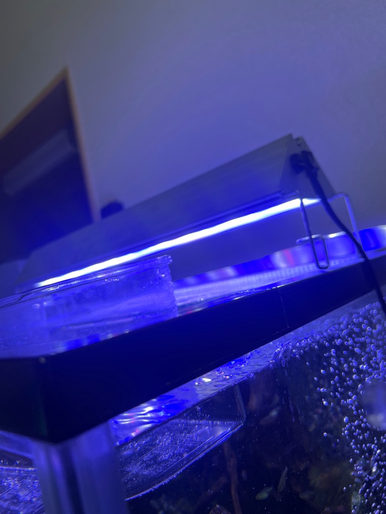 楽天市場】アクロ TRIANGLE LED MARINE 450