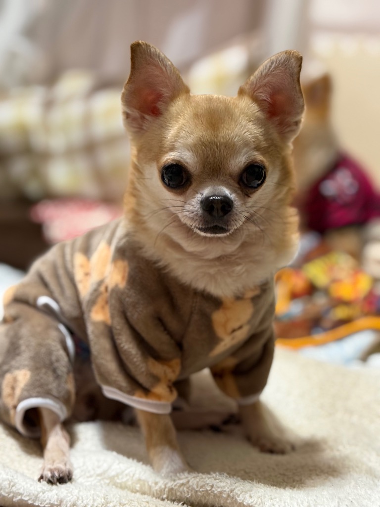 1件目のレビュー画像 | 0