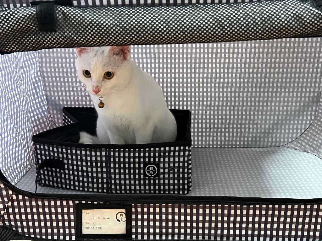 猫壱（necoichi） ポータブルケージとトイレのセット 猫の安心＆快適を