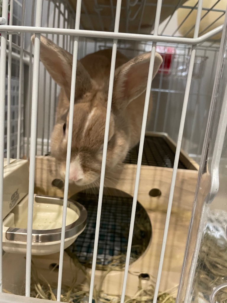 全体のレビュー画像 | 0-1