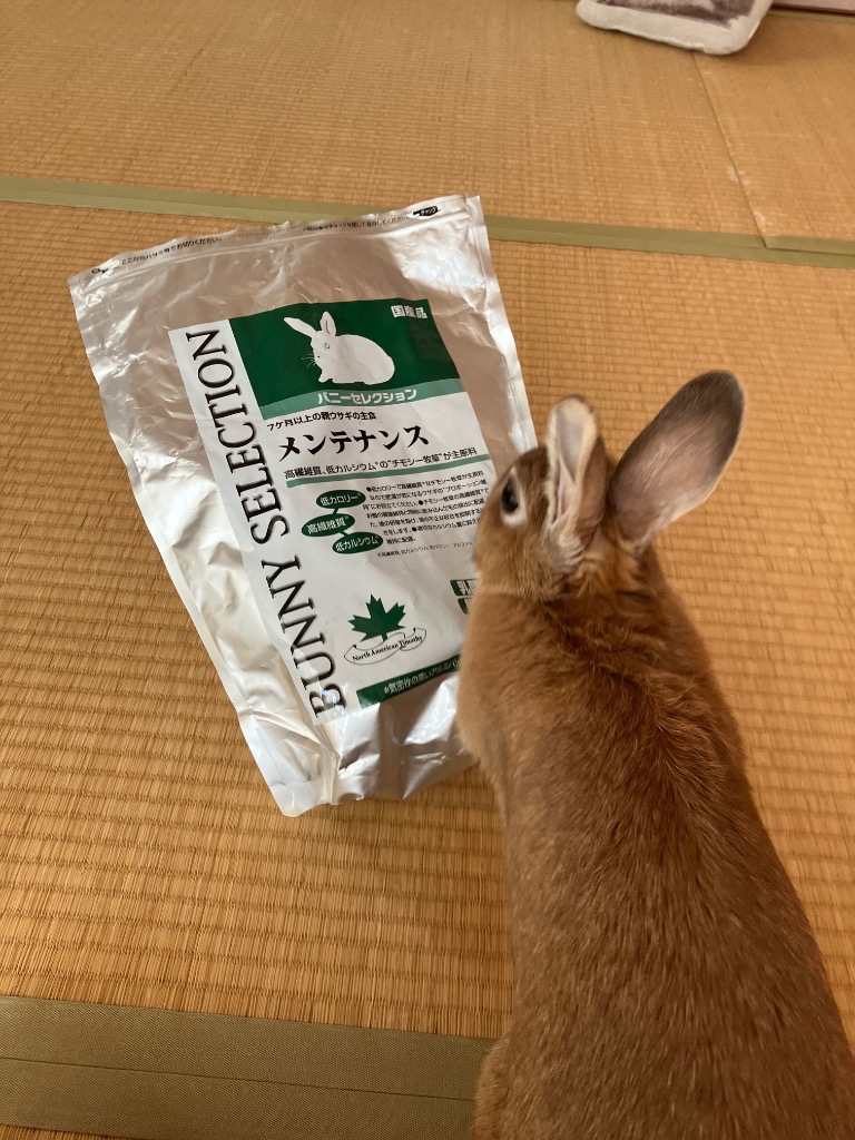 SELECTION バニーセレクション メンテナンス 1．5kg うさぎ フード