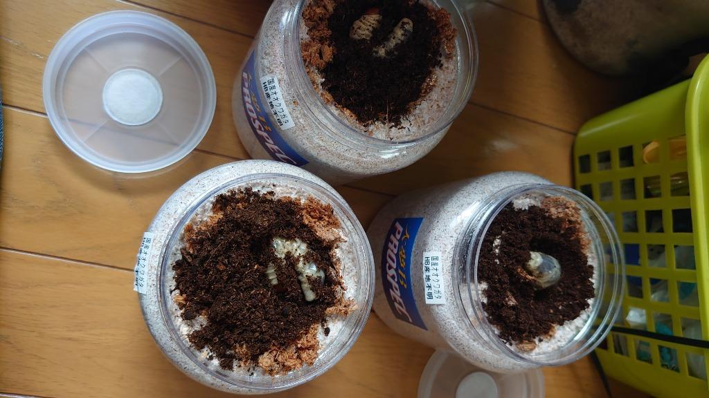 1件目のレビュー画像 | 1