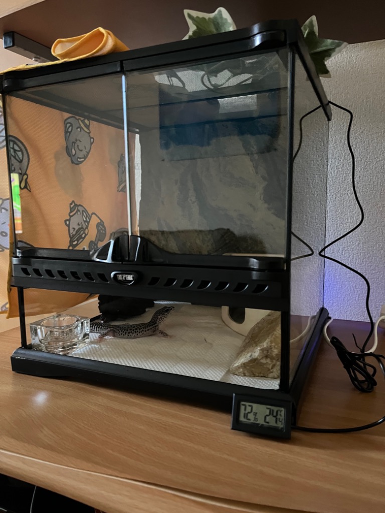 GEX 爬虫類ケージ GEX エキゾテラ グラステラリウム 3030