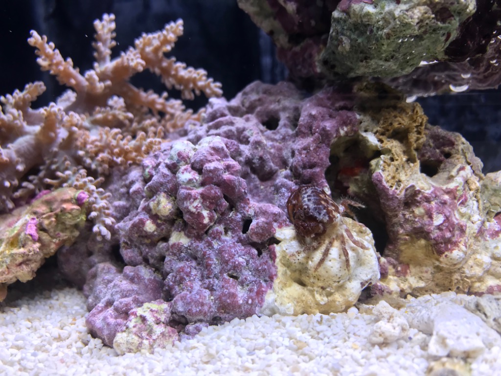 1件目のレビュー画像 | 2