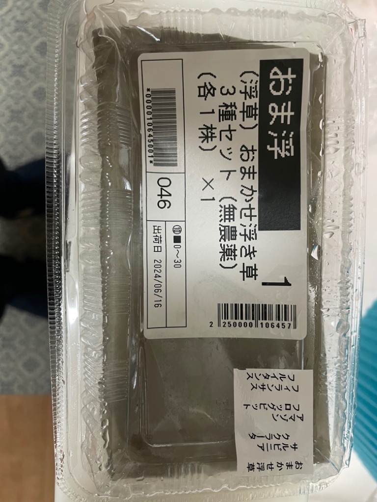 レビュー画像