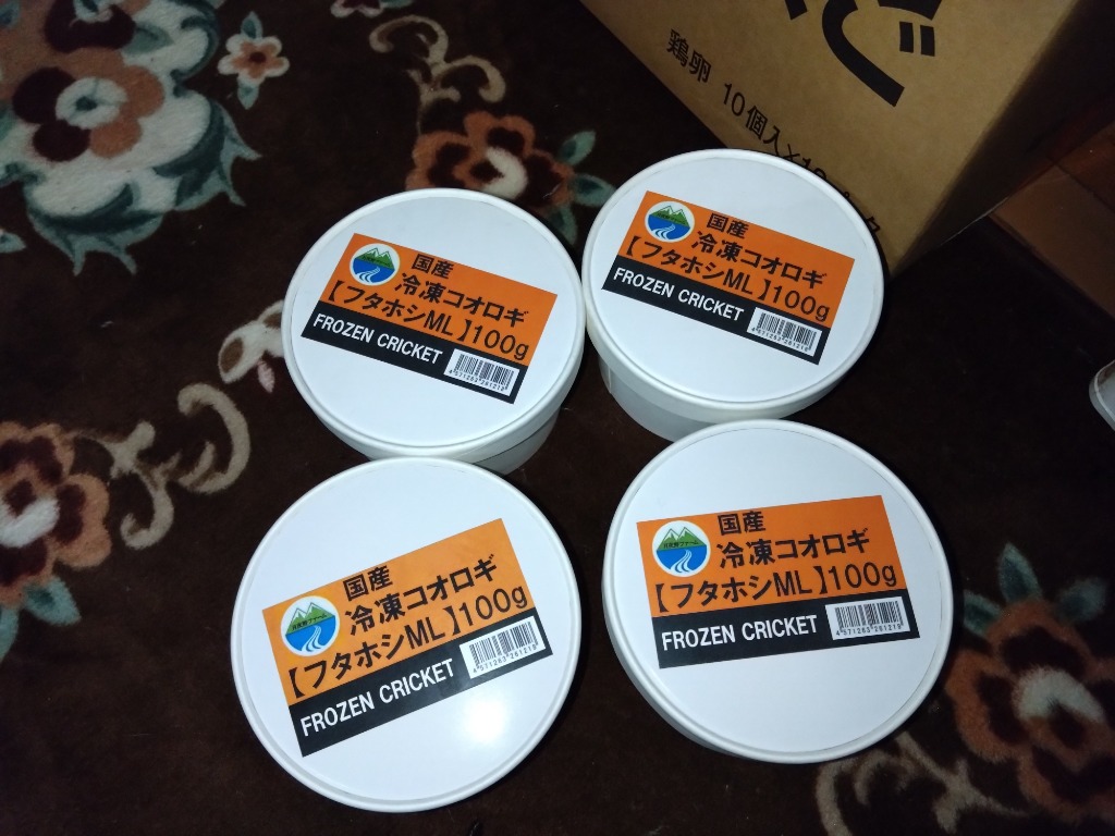 冷凍フタホシML 約130匹100g 冷凍コオロギ | 冷凍コオロギ通販