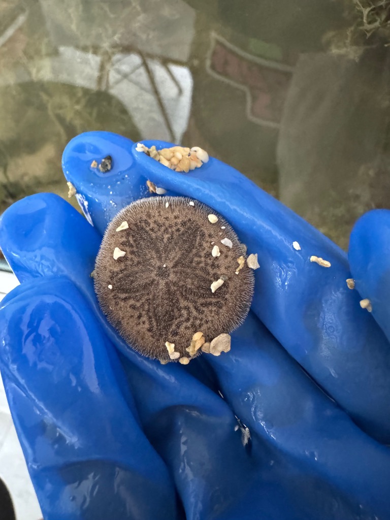 1件目のレビュー画像 | 0