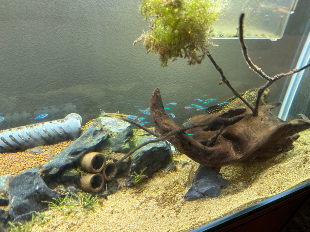 1件目のレビュー画像 | 3