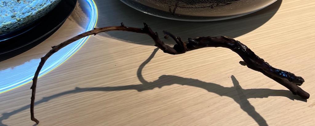 4件目のレビュー画像 | 0