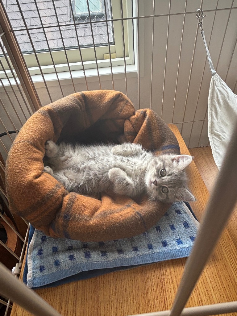 全体のレビュー画像 | 0-3