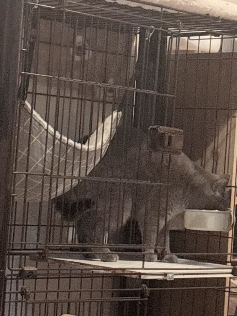 全体のレビュー画像 | 0-1