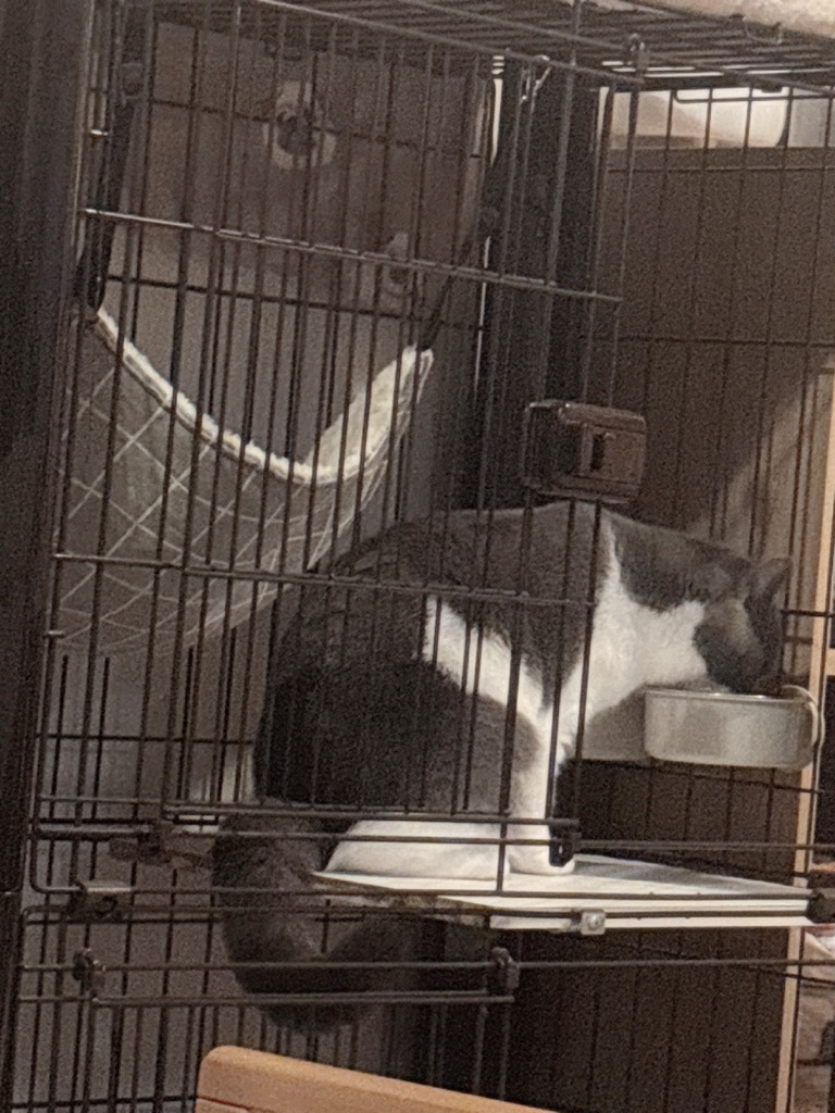 全体のレビュー画像 | 0-0