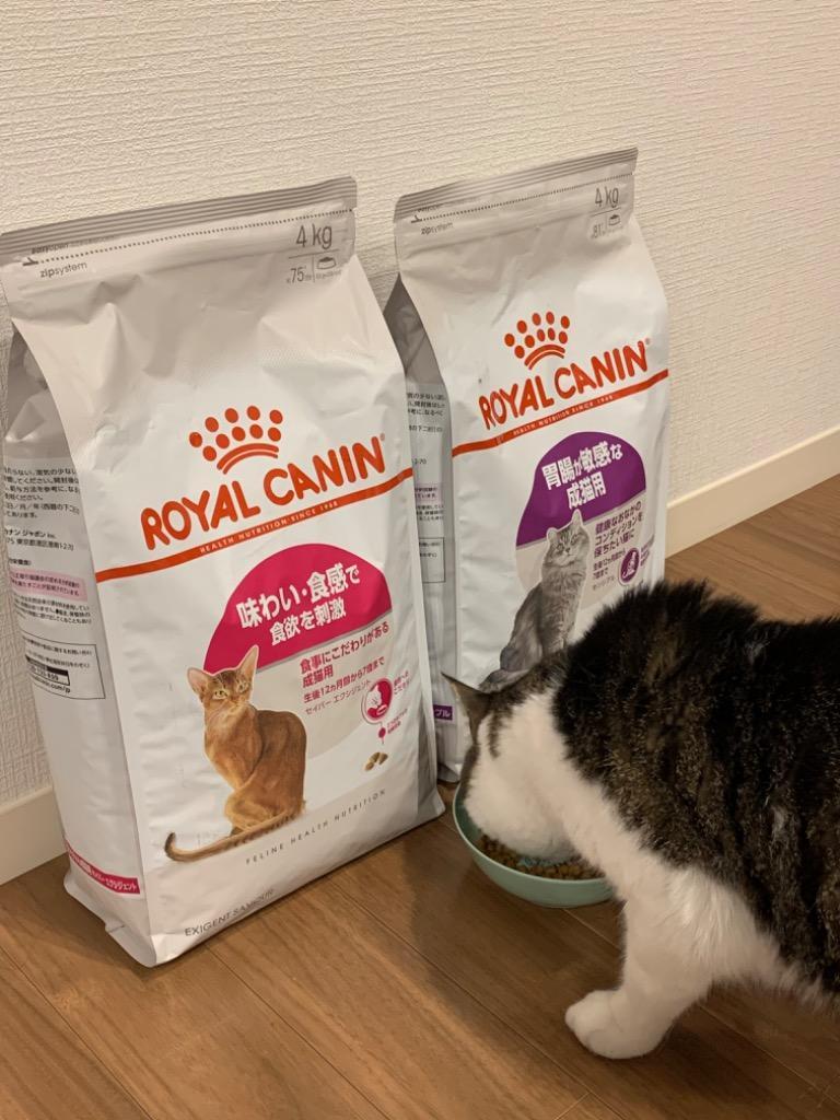 全体のレビュー画像 | 2-0