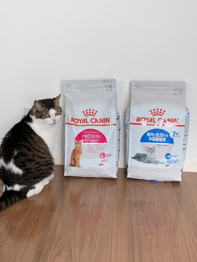 1件目のレビュー画像 | 0