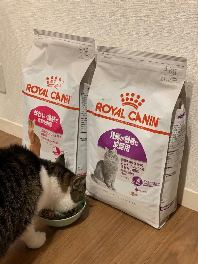 全体のレビュー画像 | 1-0