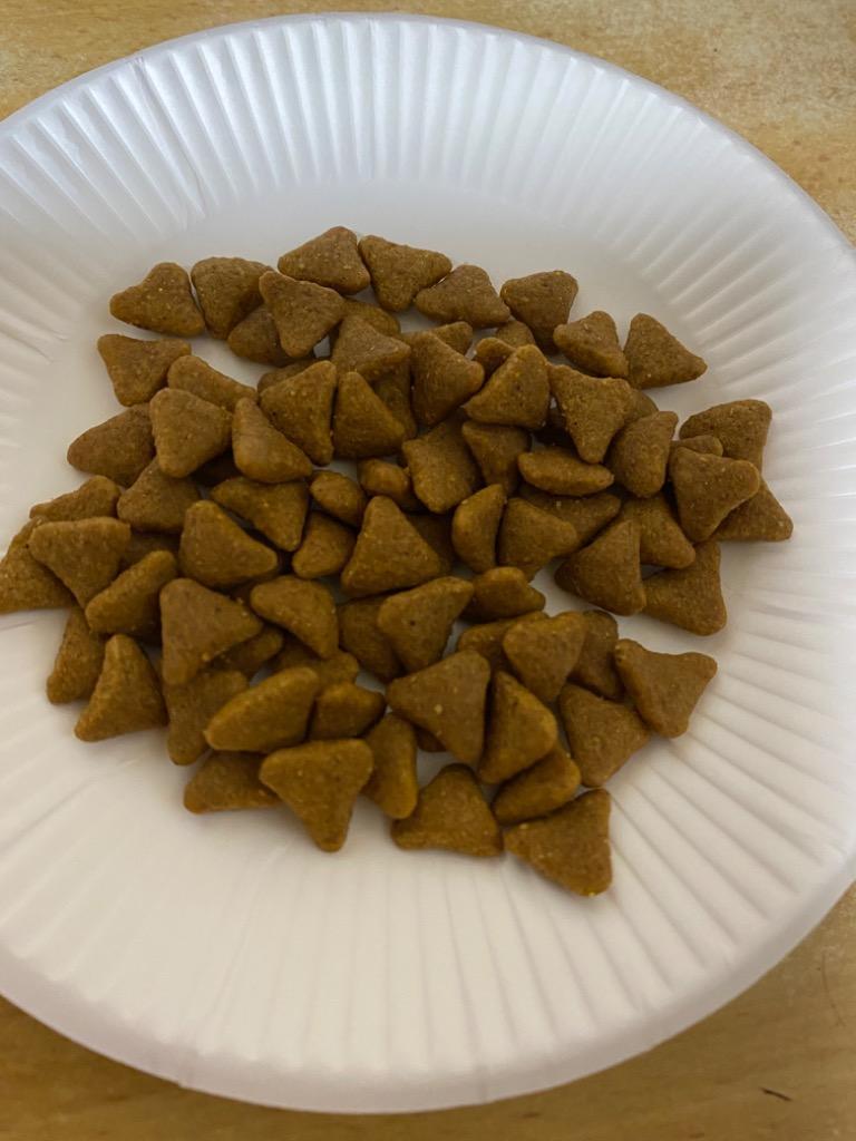 全体のレビュー画像 | 4-0