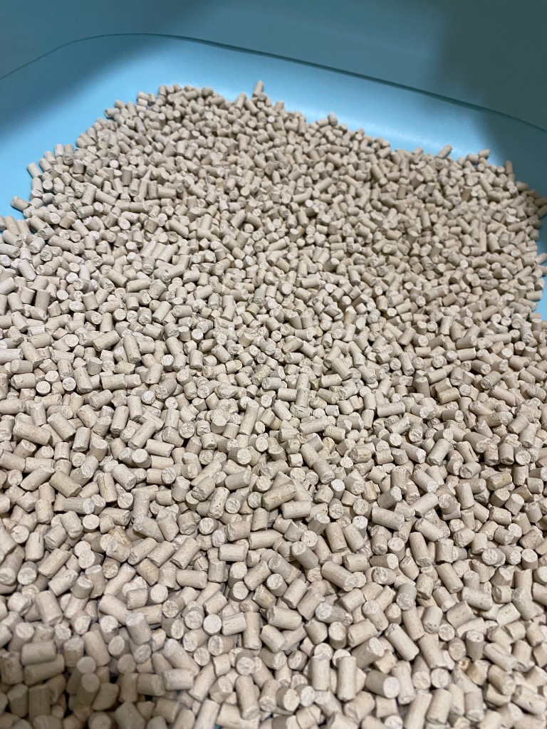 全体のレビュー画像 | 1-0