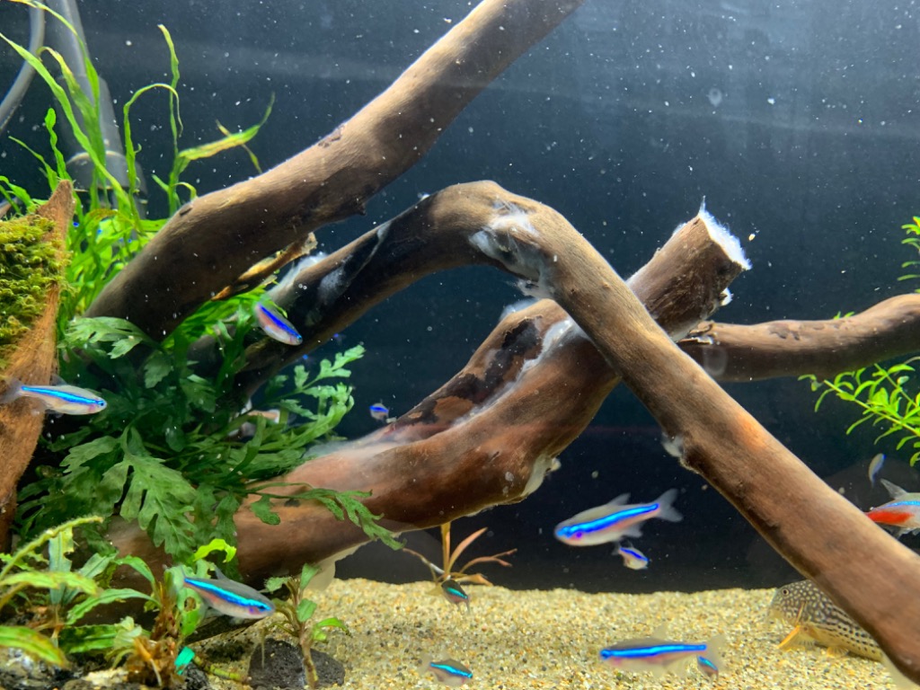 2件目のレビュー画像 | 0