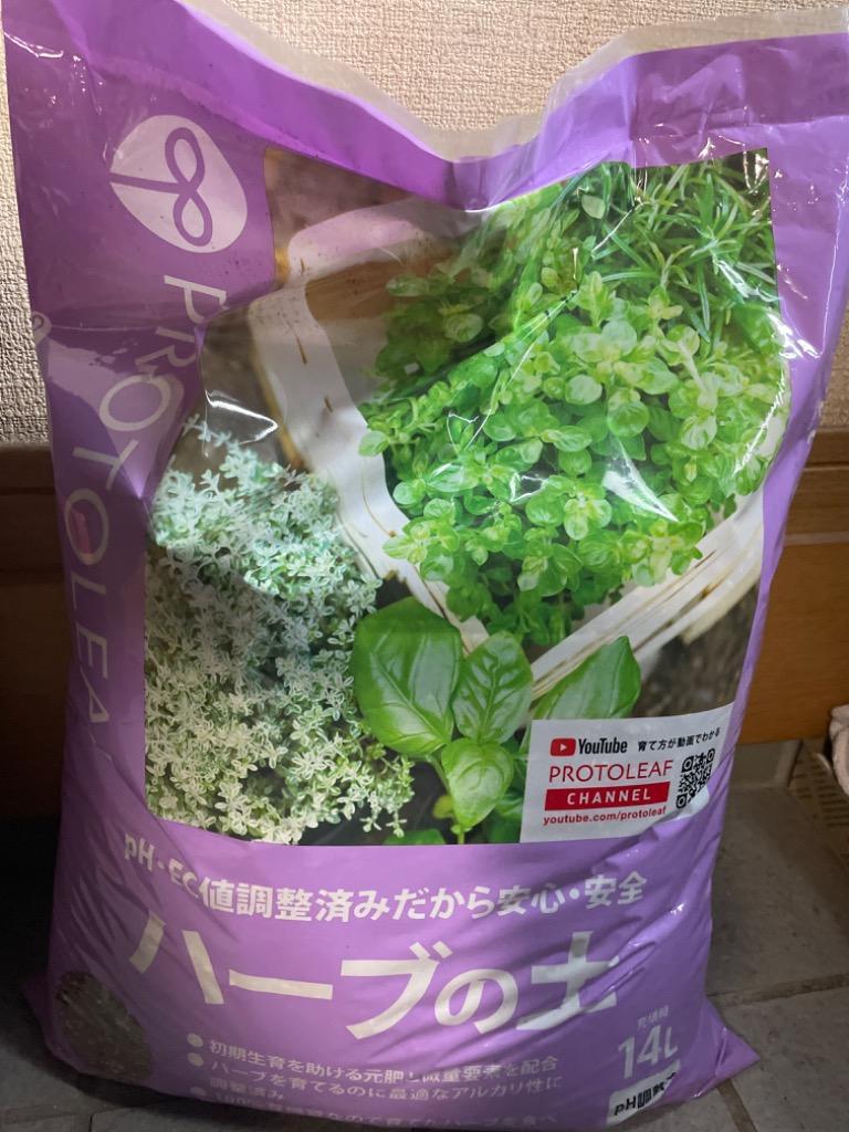 1件目のレビュー画像 | 0