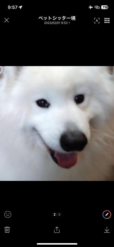 1件目のレビュー画像 | 0