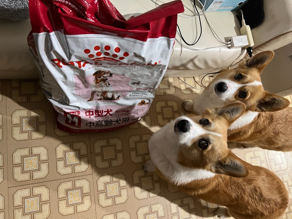 全体のレビュー画像 | 3-0