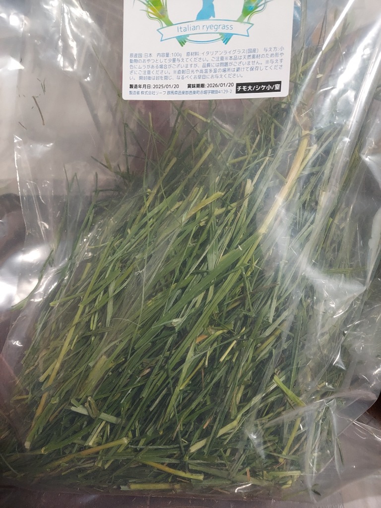 Leaf Corp 令和7年産 国産 やみつきイタリアンライグラス