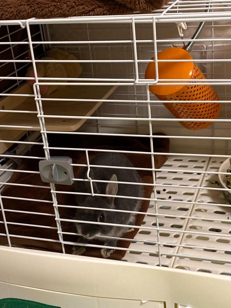 小動物 ヒーターセット アサヒ ペットヒーター ６０Ｗ ＋ 電子