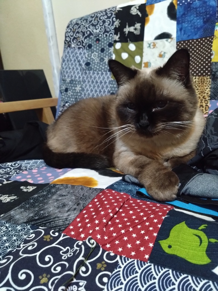 全体のレビュー画像 | 0-0