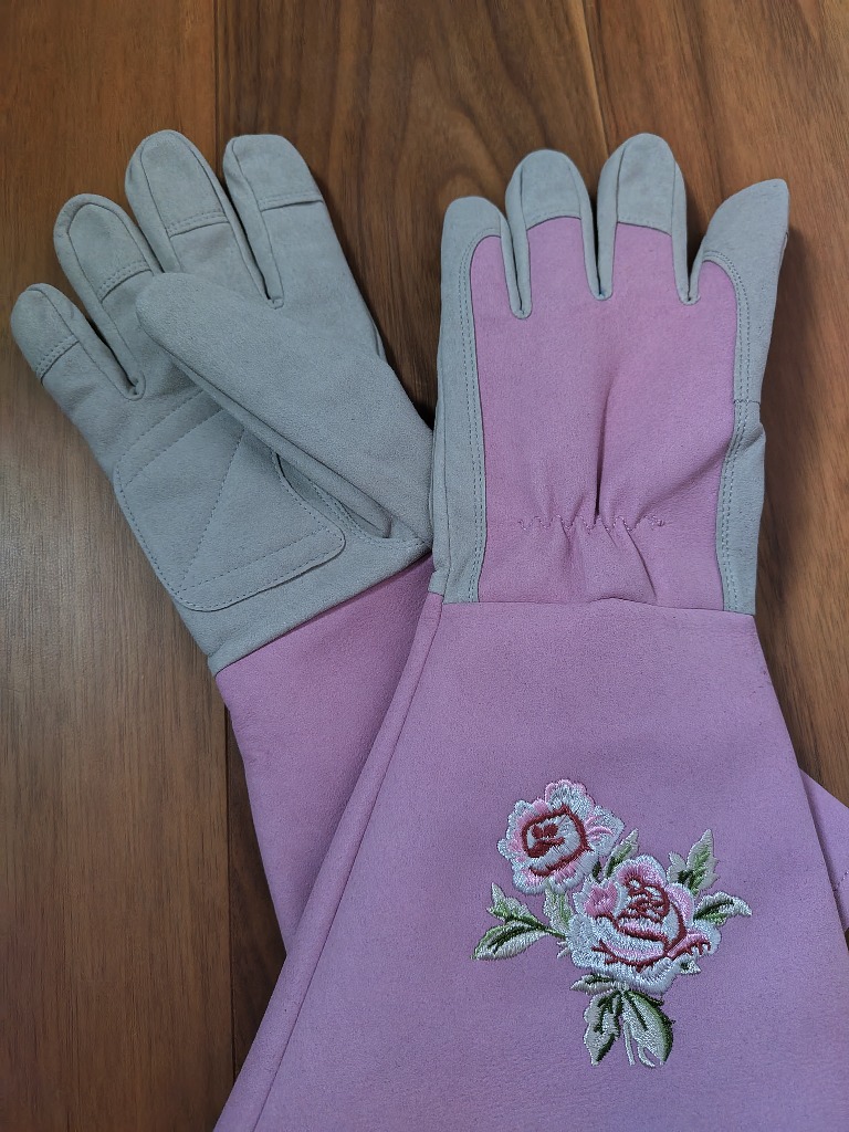 全体のレビュー画像 | 3-0