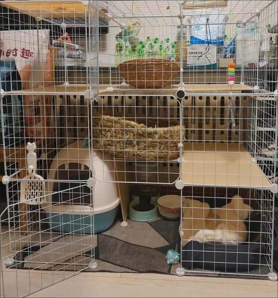 猫ケージ キャットケージ猫 ゲージ 大きめ猫用 特大ゲージ4階層 猫ケージ キャットケージ猫 ゲージ 大きめ猫用 特大ゲージ4階層