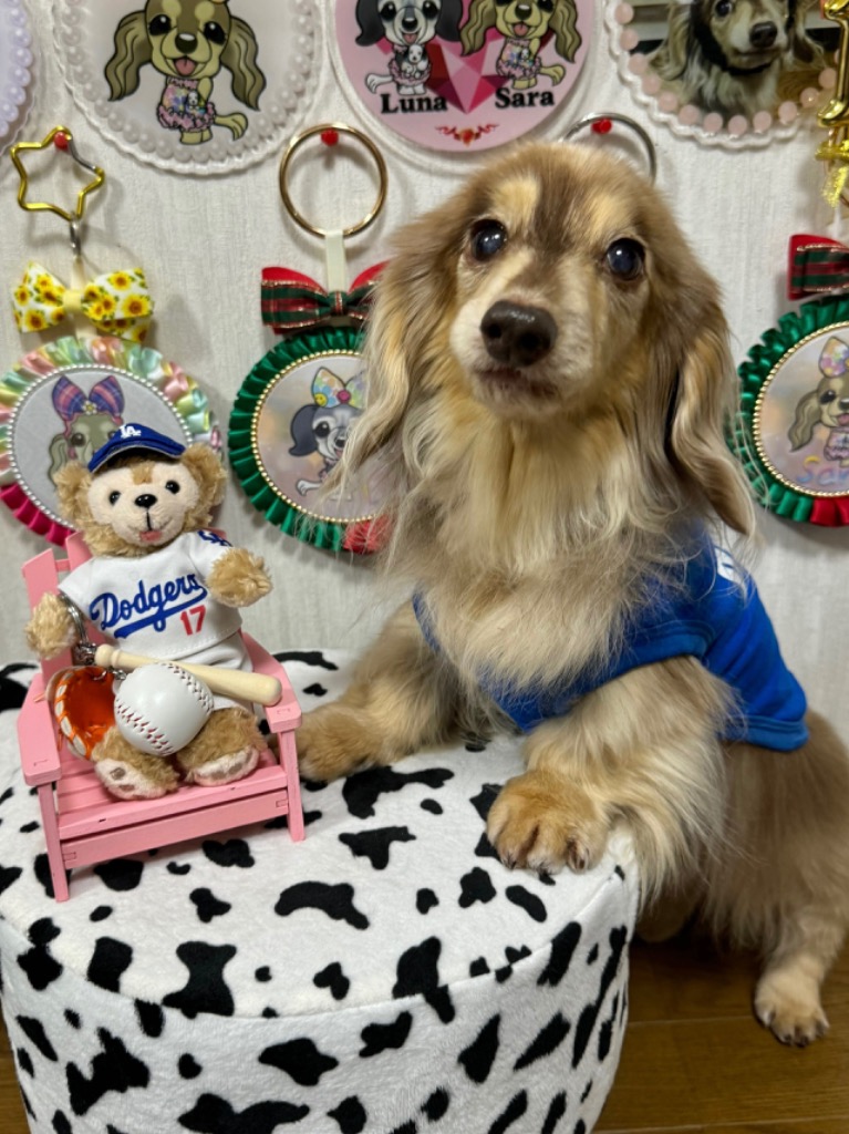 ぬいぐるみ ダッフィー 服 ユニフォーム ロサンゼルス 白色 着せ