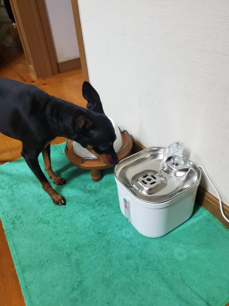 レビュー画像