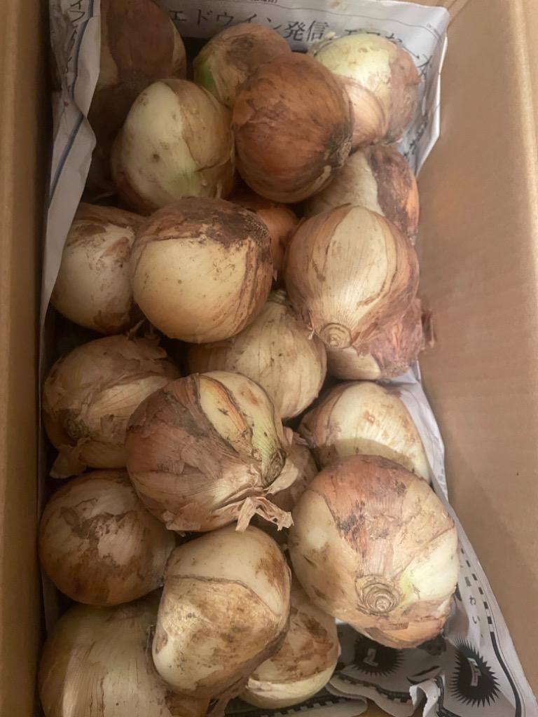 新たまねぎ 4kg 有機栽培 鹿児島県産 タマネギ 玉葱 新玉ねぎ 有機JAS 