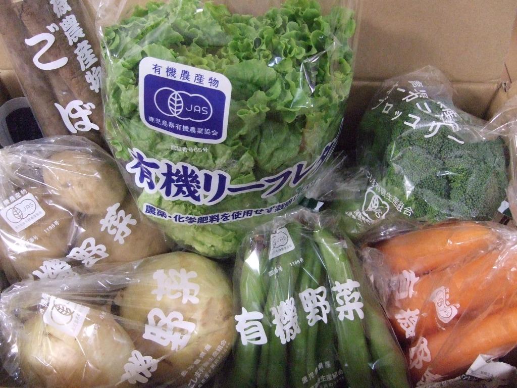 有機野菜セット おまかせ７品目 九州産 鹿児島県 有機栽培 有機JAS