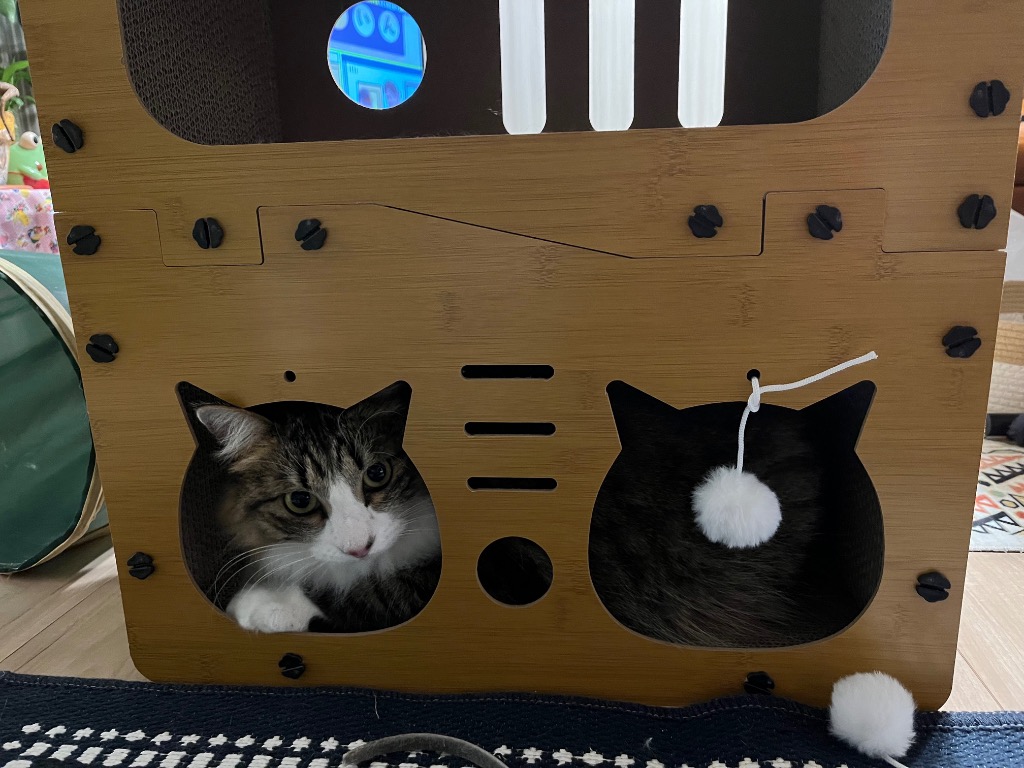レビュー画像